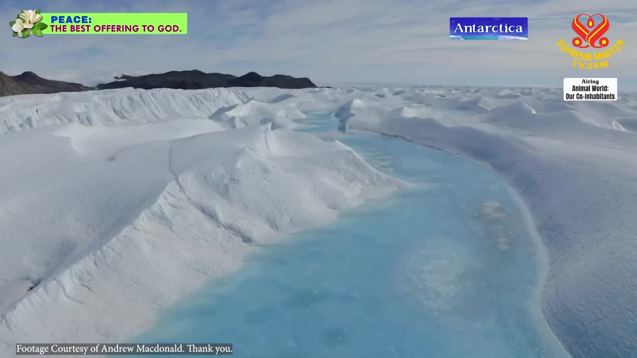 Thumbnail image for Access to Democracy: MN Secretary of State