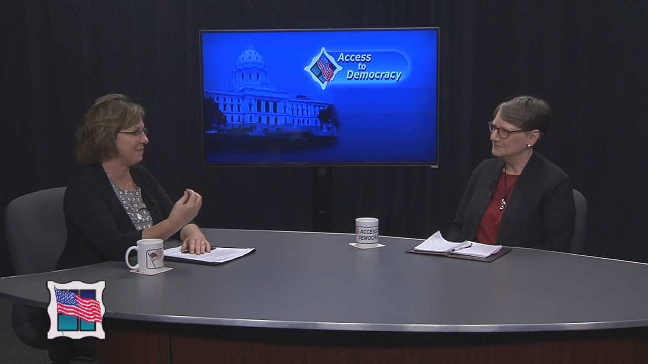 Thumbnail image for Access to Democracy