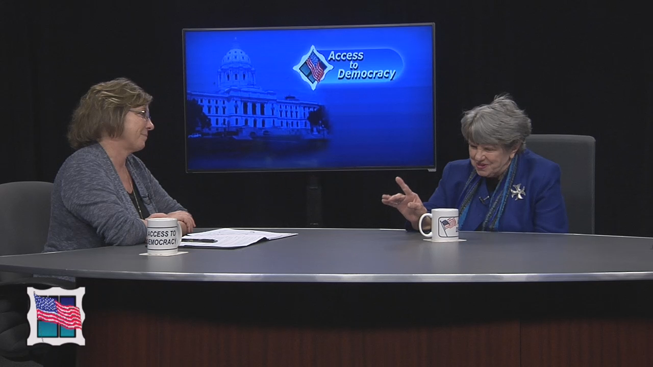 Thumbnail image for Access to Democracy