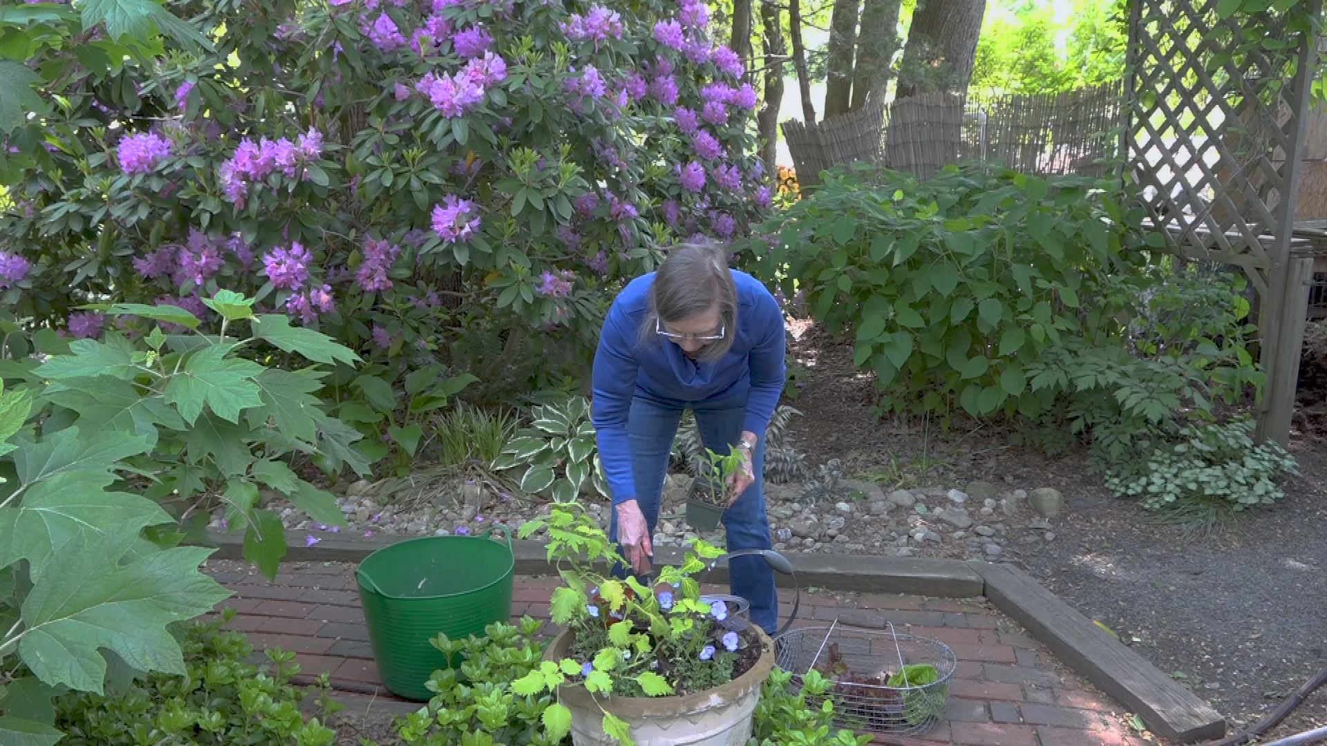 Thumbnail image for A Walk in the Garden