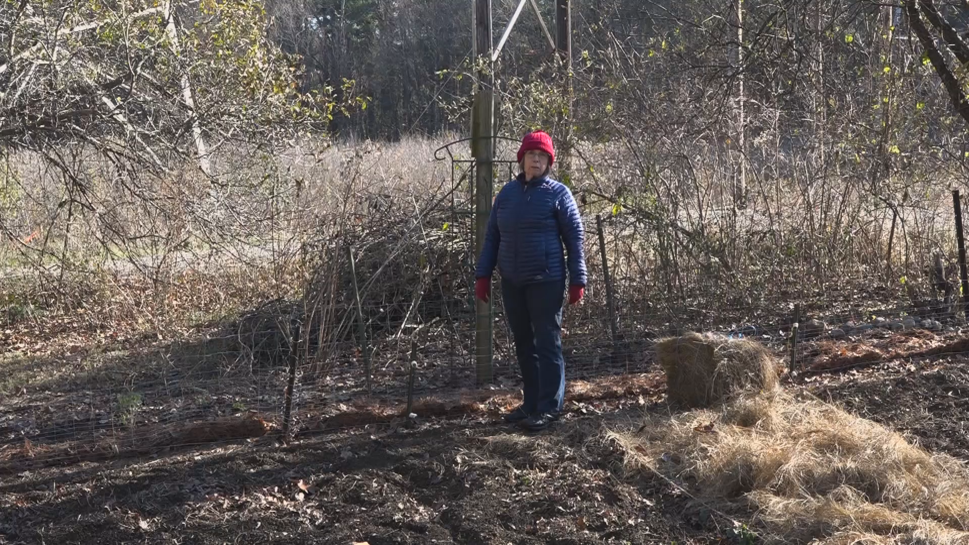 Thumbnail image for A Walk in the Garden