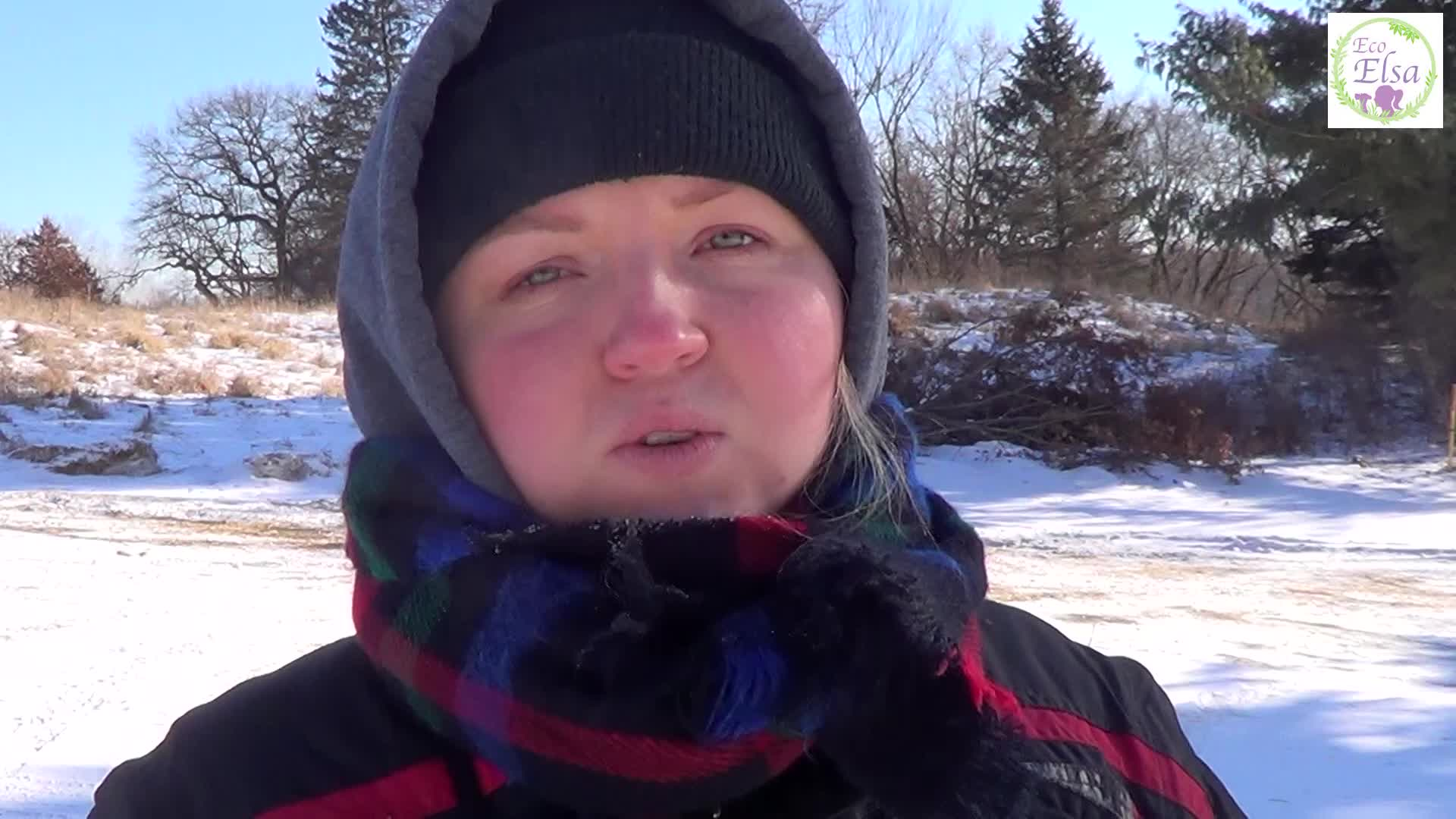 Thumbnail image for Eagan Outdoors