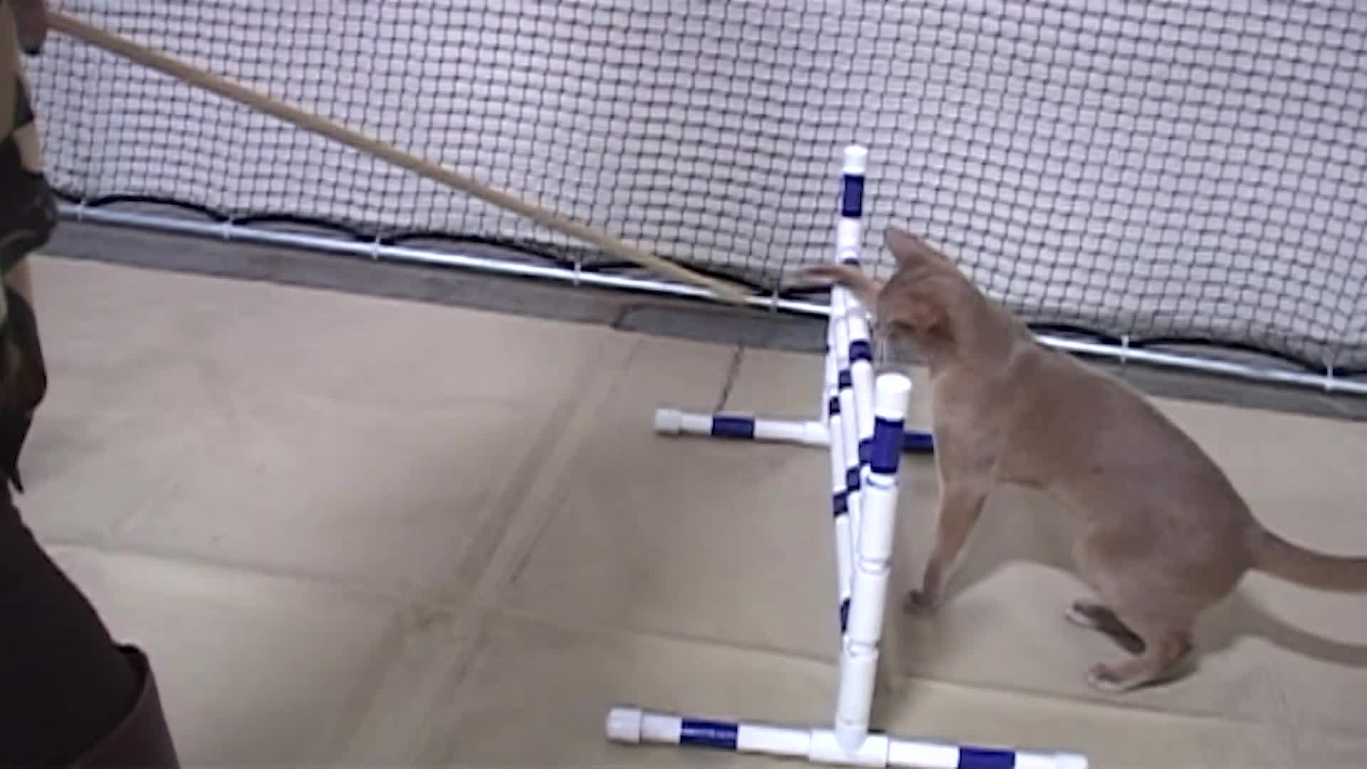 Thumbnail image for Out and About with Roger Martin