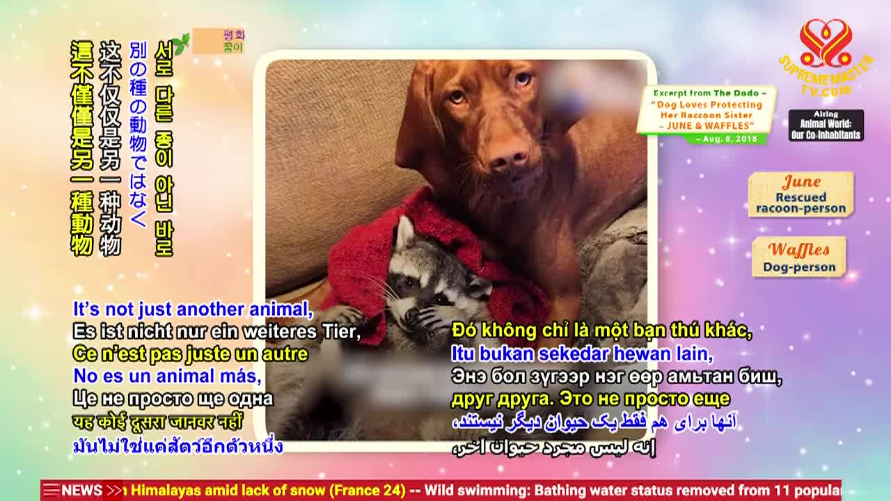 Thumbnail image for Enlightening Entertainment