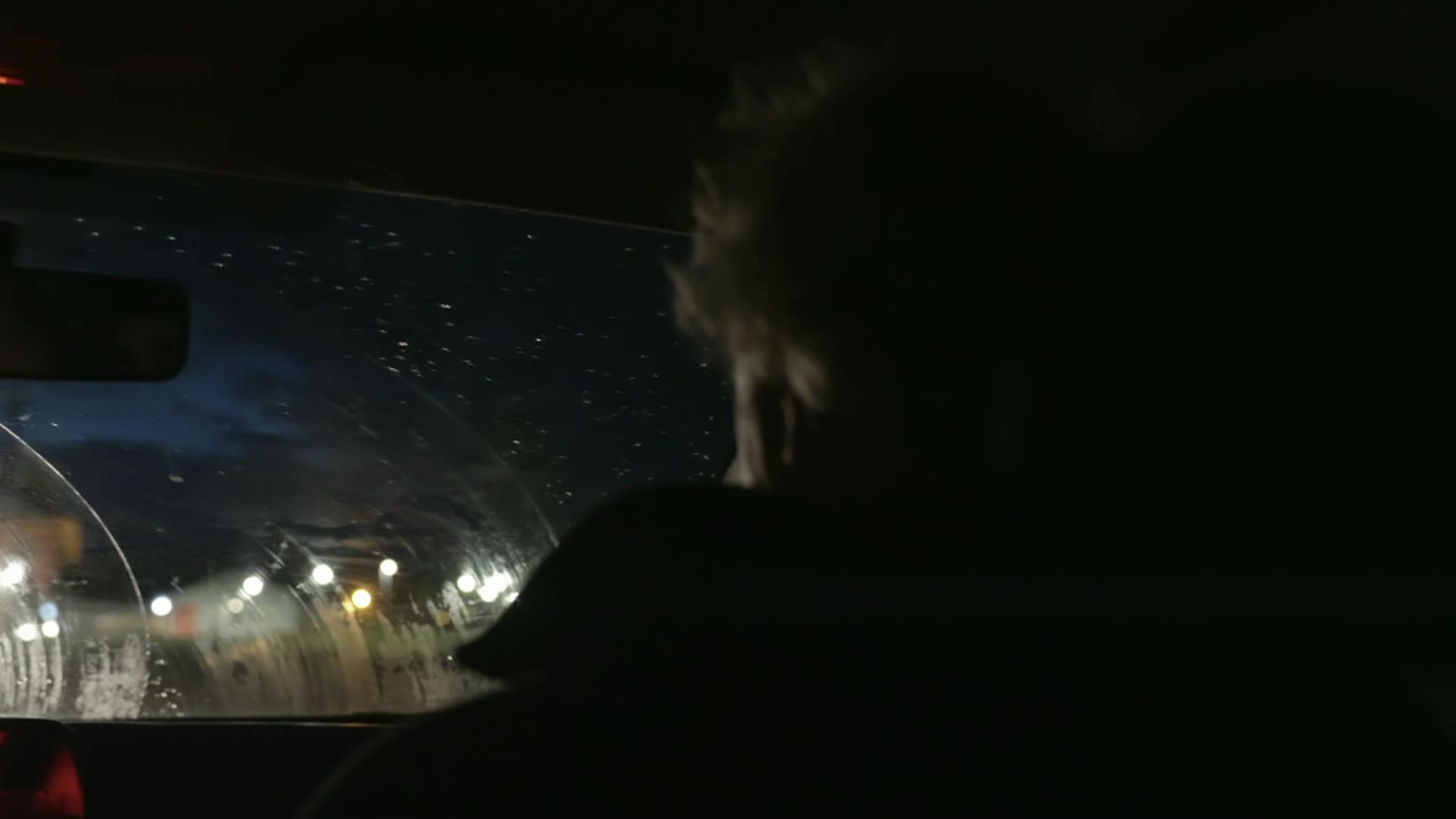 Thumbnail image for Strata Portraits of Humanity