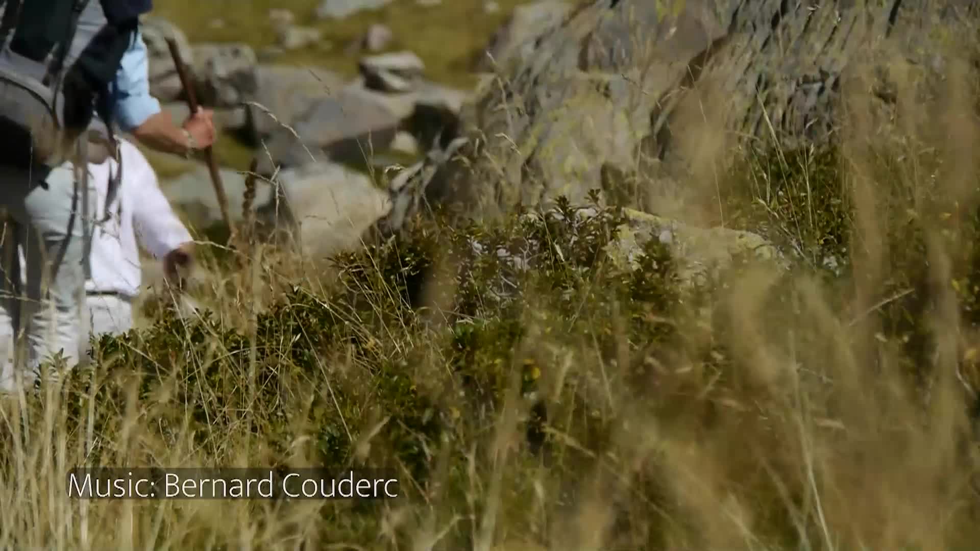 Thumbnail image for Strata Portraits of Humanity