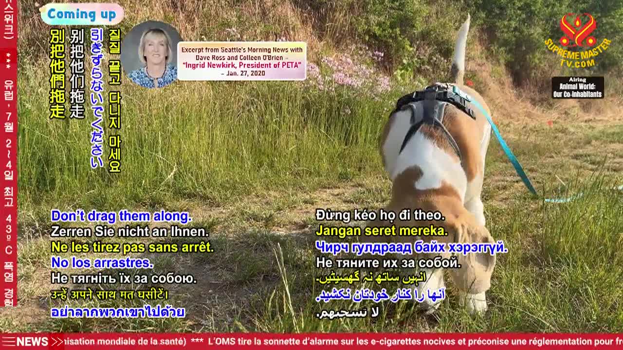 Thumbnail image for Enlightening Entertainment