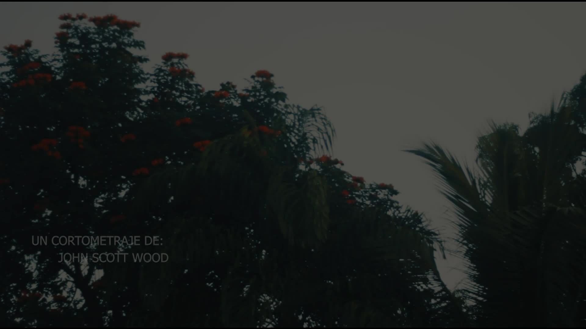 Thumbnail image for Strata Portraits of Humanity