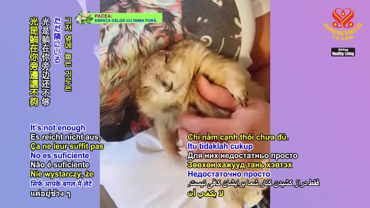 Thumbnail image for Enlightening Entertainment