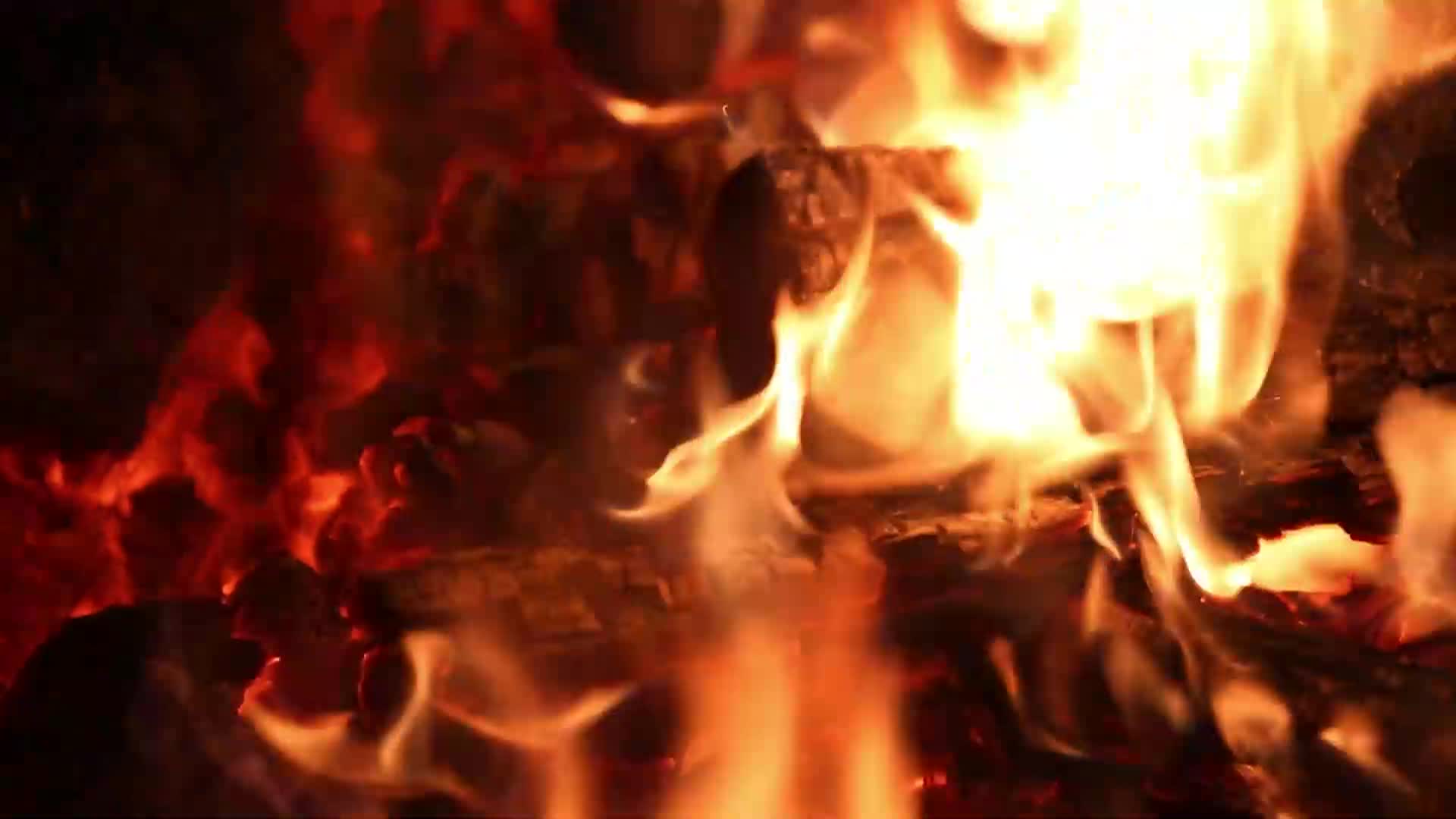 Thumbnail image for Strata Portraits of Humanity