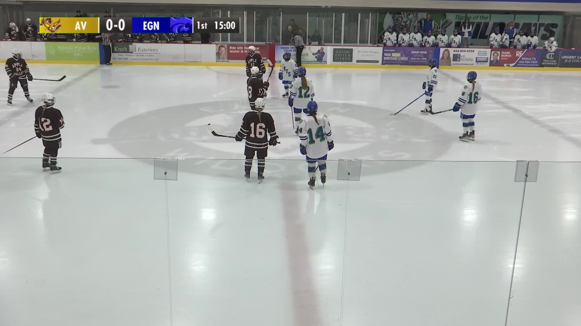 Thumbnail image for EHS Girls Varsity Hockey vs. Lakeville South