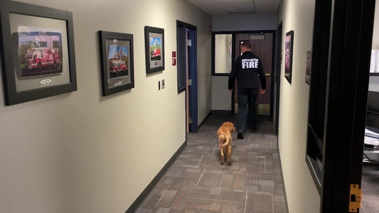 Thumbnail image for Insight7