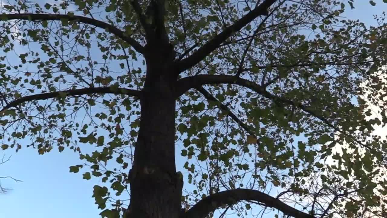 Thumbnail image for Out and About with Roger Martin