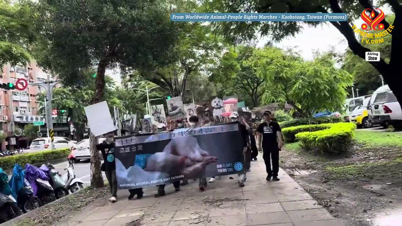 Thumbnail image for Enlightening Entertainment