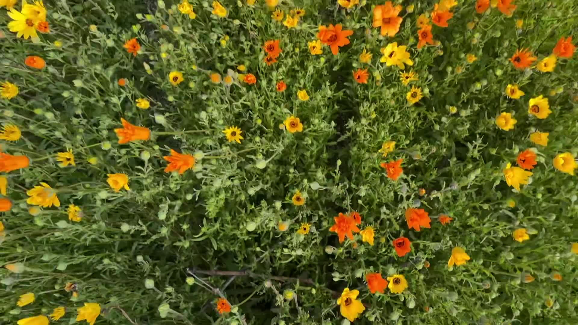 Thumbnail image for Cooking with Vlada