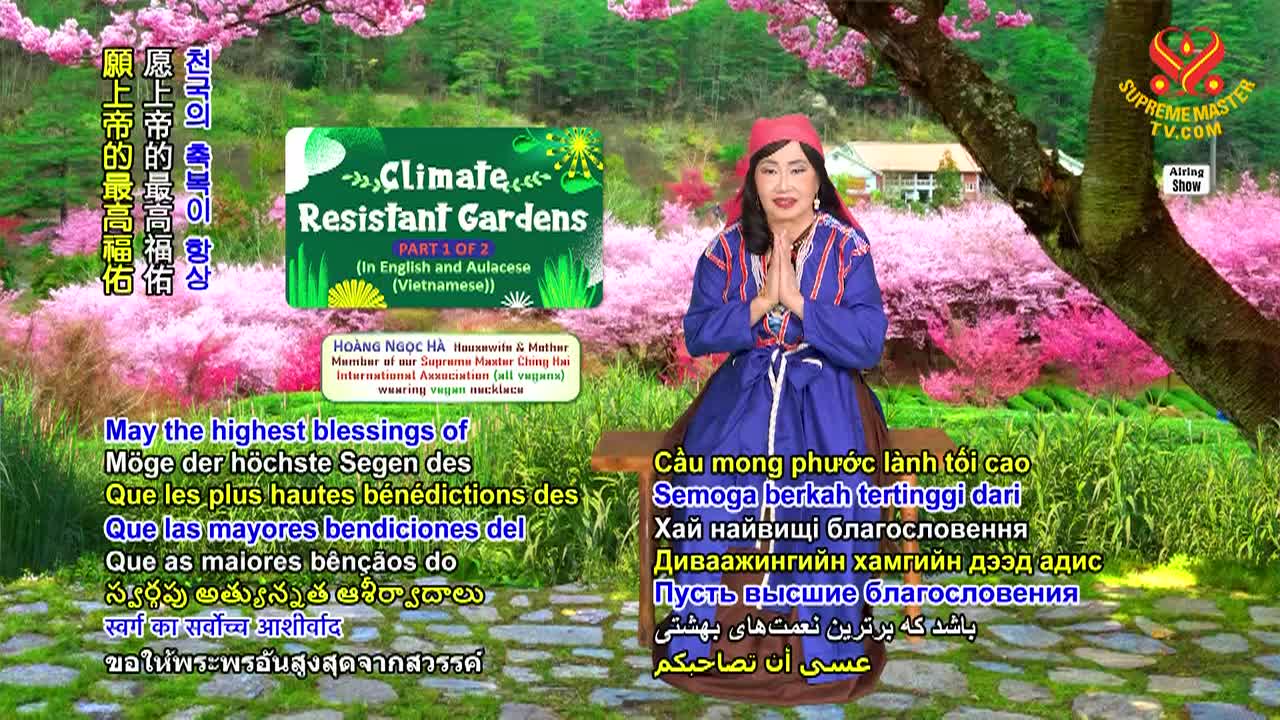 Thumbnail image for Enlightening Entertainment