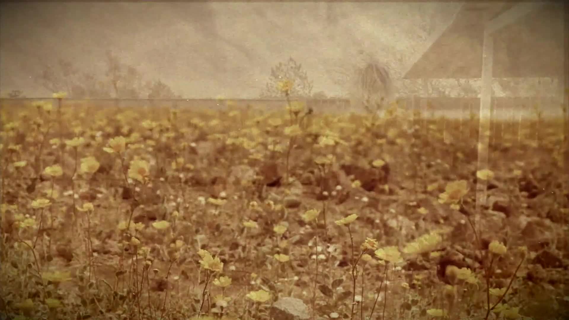 Thumbnail image for Sidewalks