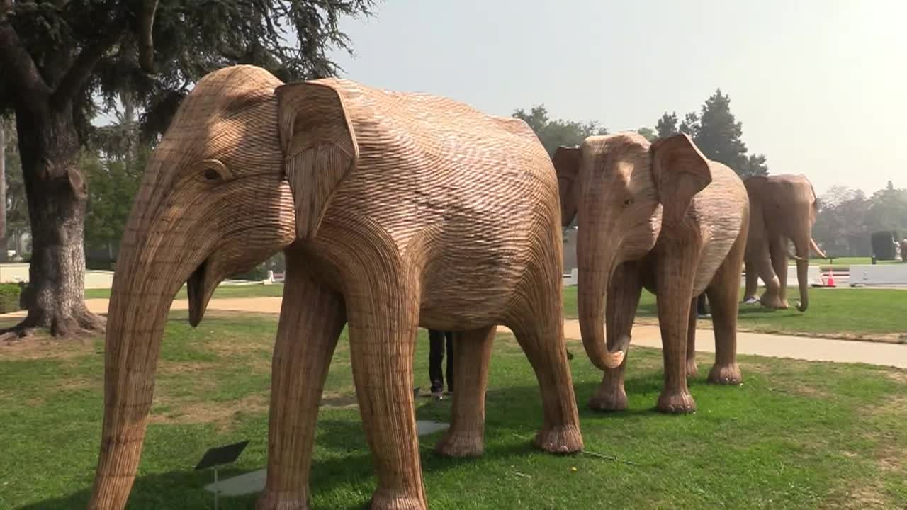 Thumbnail image for Out and About with Roger Martin