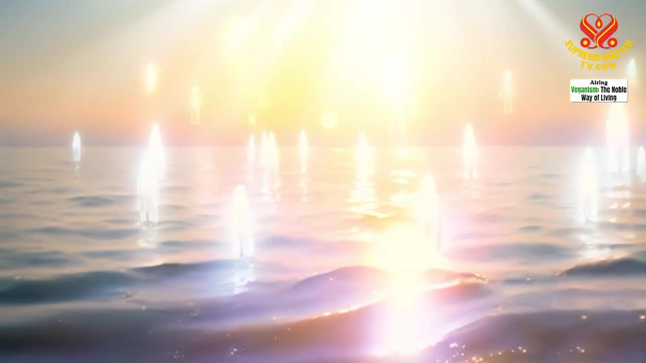 Thumbnail image for Enlightening Entertainment