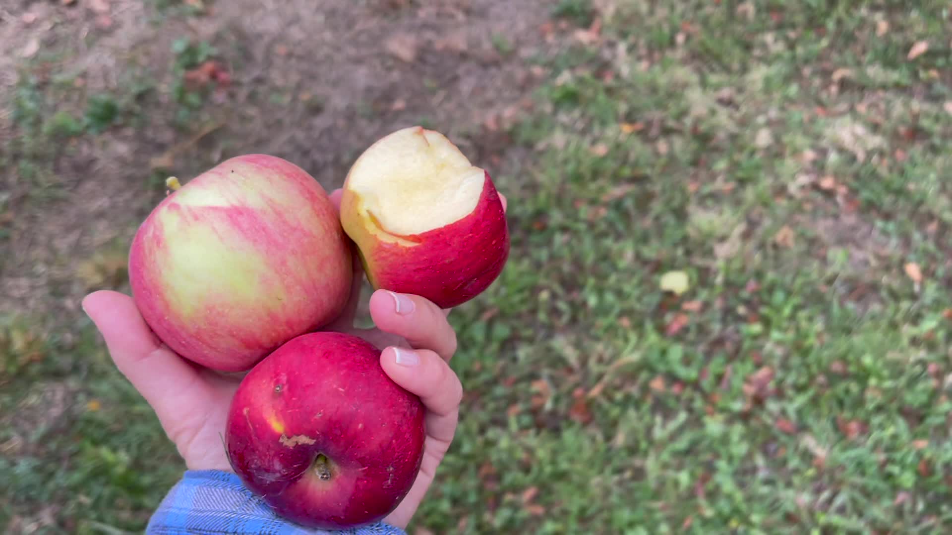 Thumbnail image for Cooking with Vlada