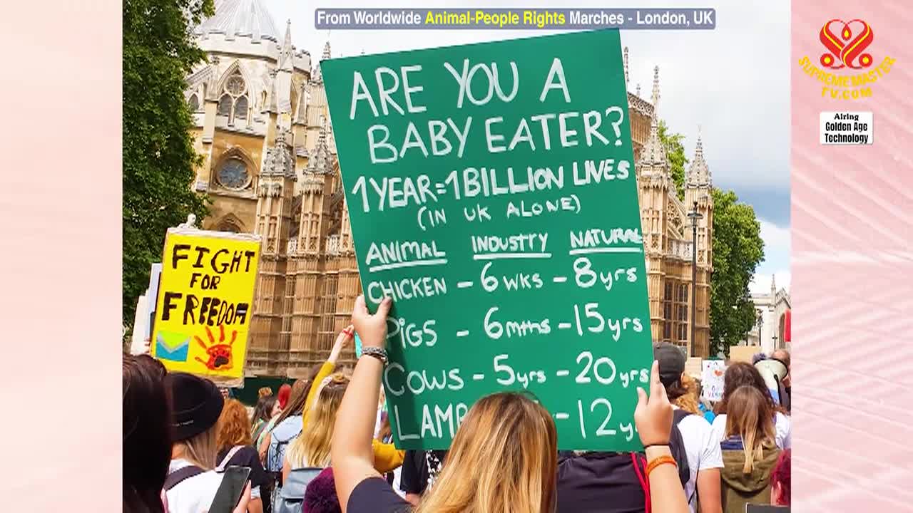 Thumbnail image for Enlightening Entertainment