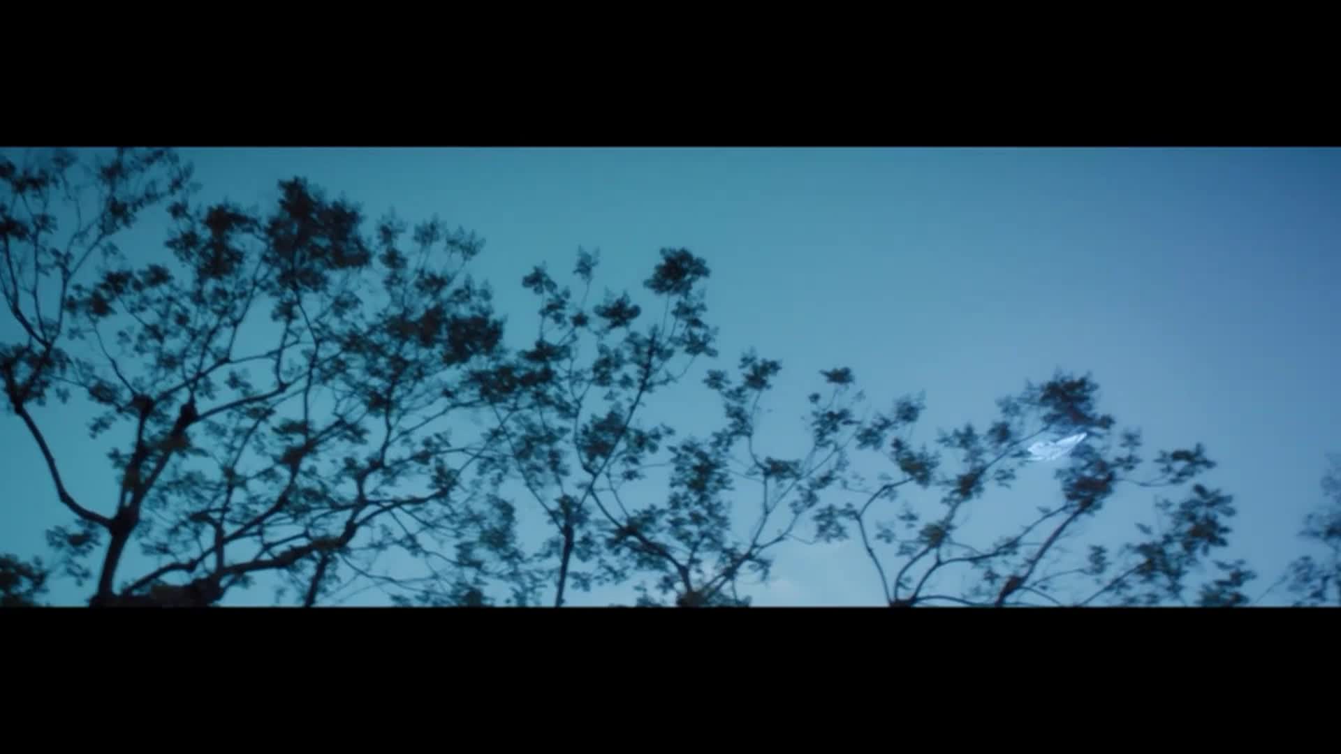 Thumbnail image for Sidewalks