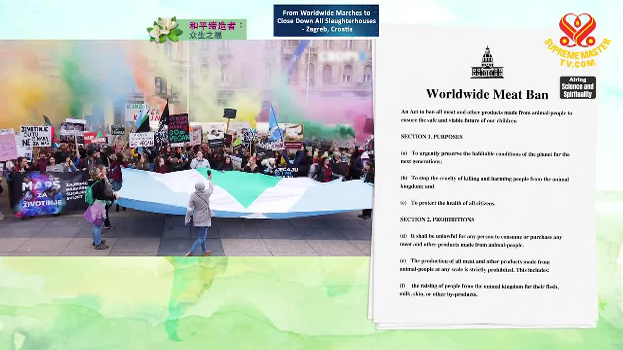 Thumbnail image for Enlightening Entertainment