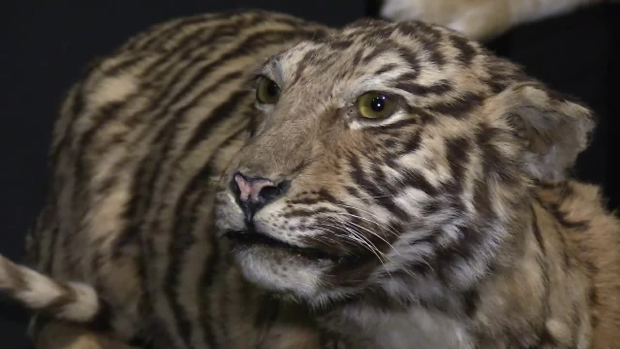 Thumbnail image for Out and About with Roger Martin