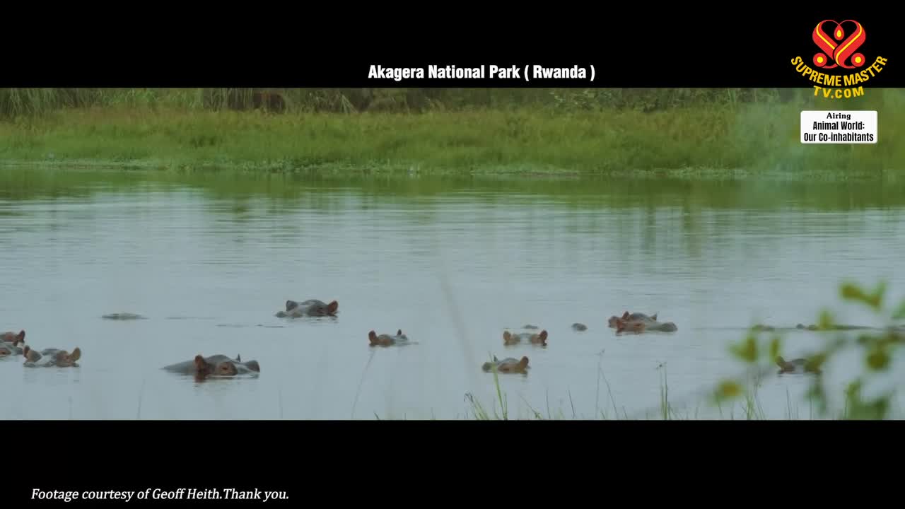 Thumbnail image for Enlightening Entertainment