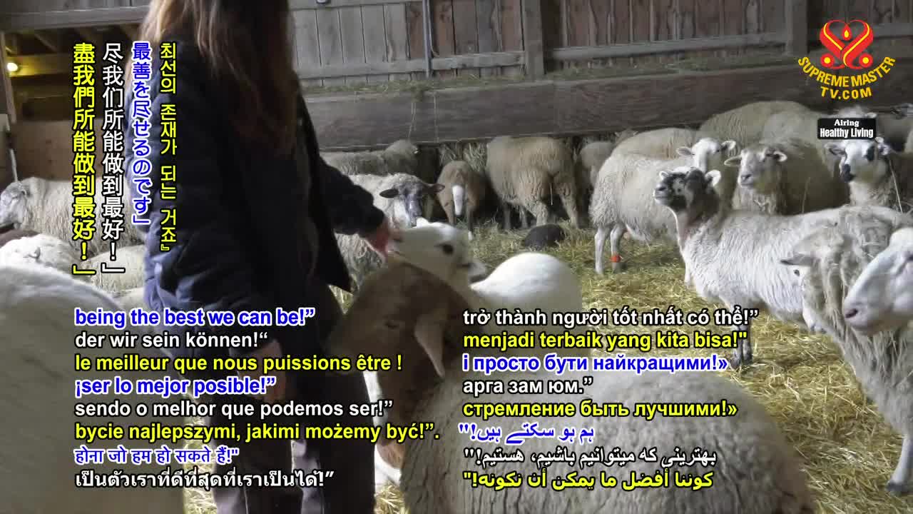 Thumbnail image for Enlightening Entertainment